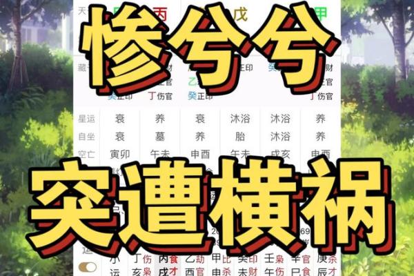 探究身偏弱木命：如何提升命格运势与人生智慧