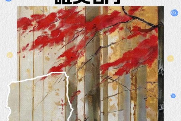 红灯笼下的梦：探寻“红红火火”和“红颜知己”的故事