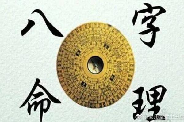 阴命与阳命的区别：探秘生命哲学的深层智慧