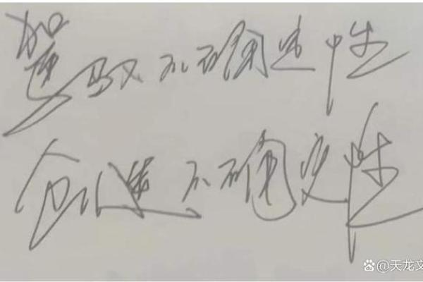 皮之不存，毛将焉附——探讨依赖与独立的哲学思考