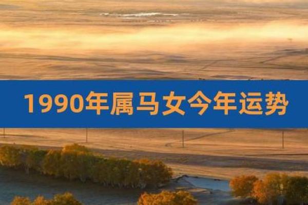 2023年属马人的命运解析：运势、职业与情感全方位分析