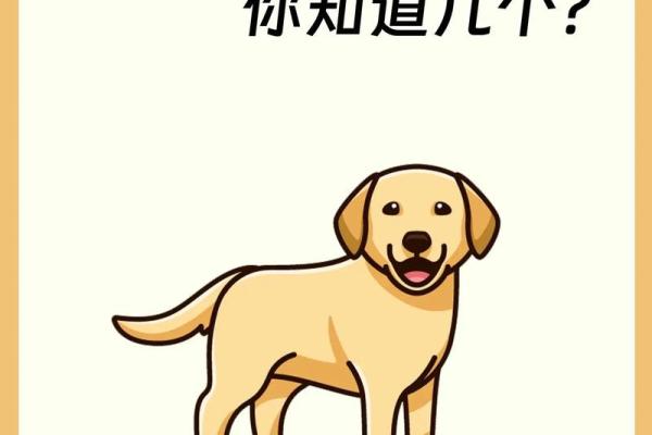 属狗的人是金命还是其他命？揭开生肖狗的命理秘密！