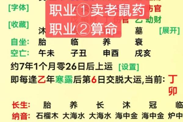 揭示壬戌癸亥命格的奥秘：最适合的人生路径与选择