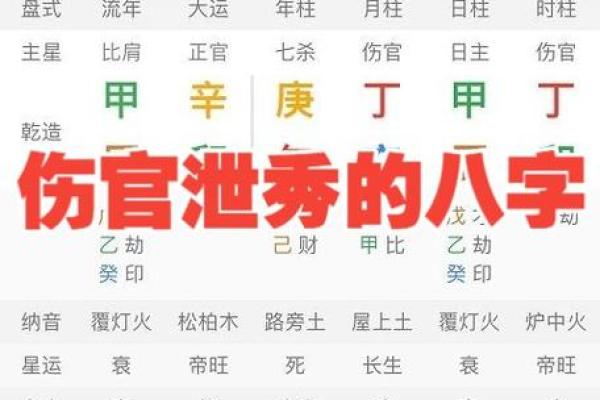 男女命运的差异：从命理看双方的不同之处