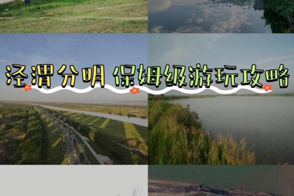 心如止水命自安，一路成语解人生哲理