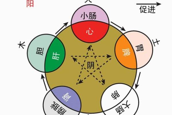 水火相济：如何通过五行相生化解水命与火命的冲突