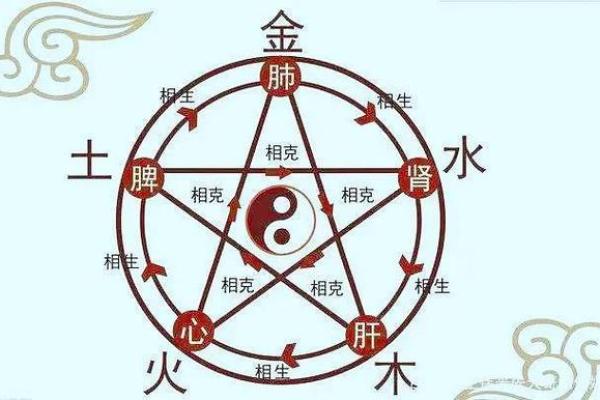 女木命与什么命最配？探讨五行相生的深厚关系