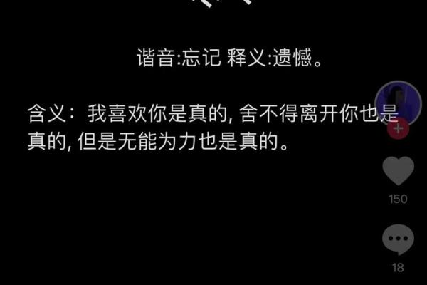 2020年谐音“二零”，探讨新生与转变的意义