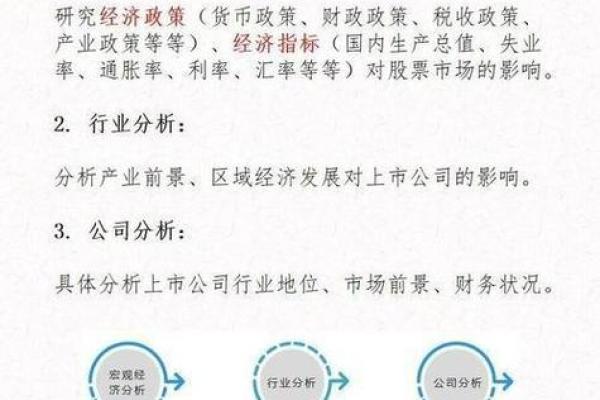 2019年亥猪命运解析：如何把握机遇与挑战
