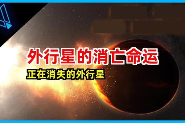 巽命与东四命：命理学视角下的命运与方向探秘
