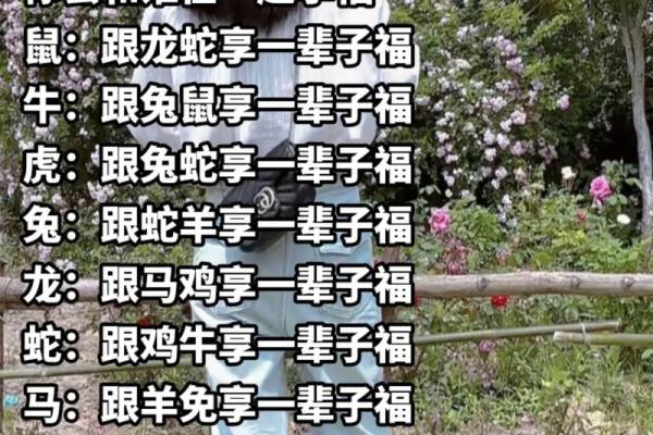 属羊人的命运解析：1990年出生的你将迎来怎样的人生旅程？