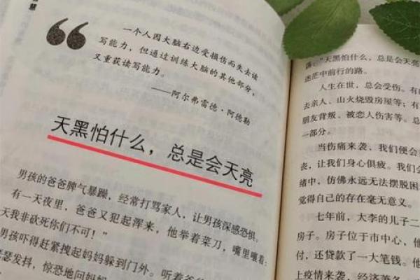 2025年出生的人命运解析：28岁如何掌控人生方向