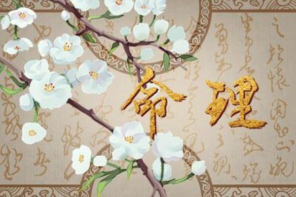 深入了解2016年9月7日出生者的命运与人生之旅