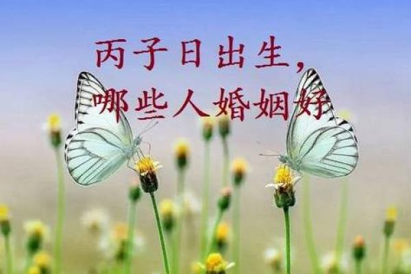 1956年出生的火命人：热情与创造的舞者