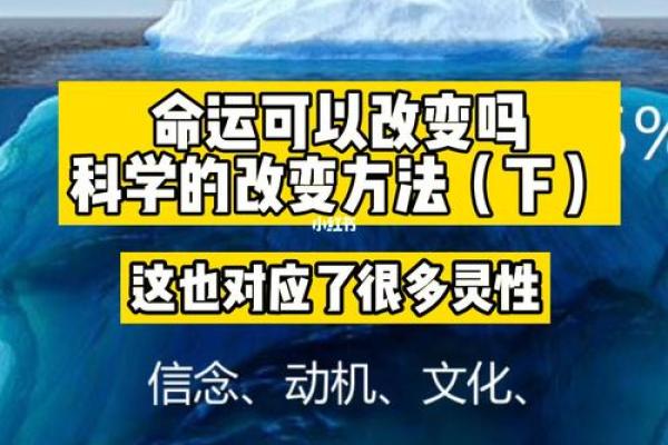 900421：命运的密码与人生的探索之旅