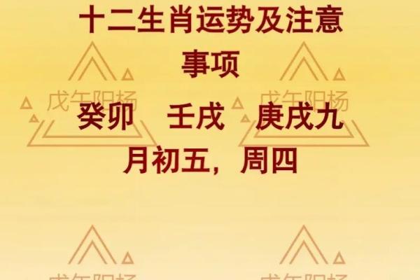 解密女命壬戌癸卯丙辰的命格特征与运势分析