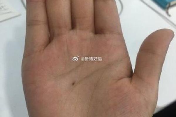 030913的命运密码：揭秘数字背后的深意与人生轨迹
