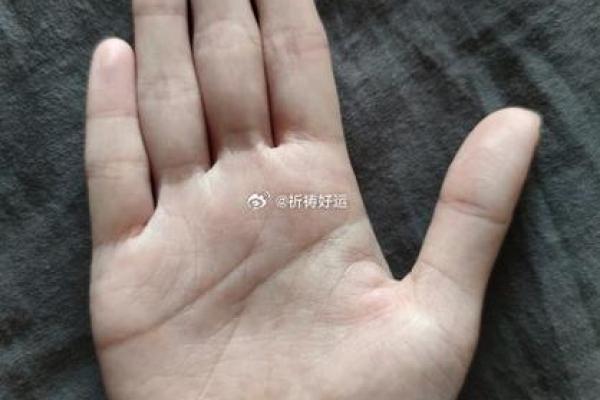 030913的命运密码：揭秘数字背后的深意与人生轨迹