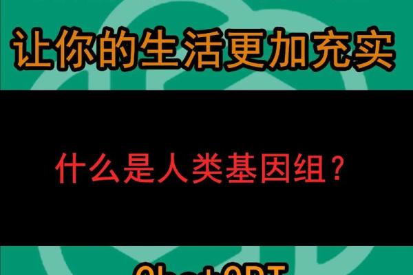 探索人类命里带的东西：生活中的缘分与机遇