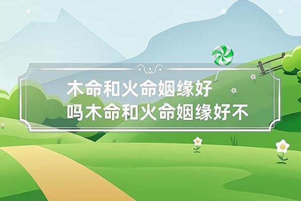 阳木命与火命的完美结合：探寻五行之中的和谐美感