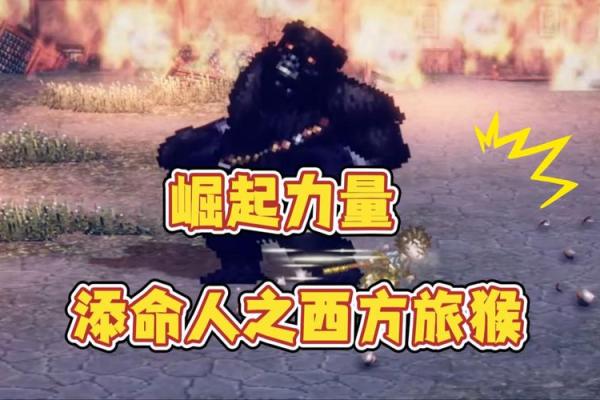 高贵命与享福命的区别：追求与内心的幸福之旅