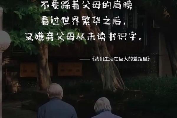 解读命格中的“下之命”：生活中的启示与指引