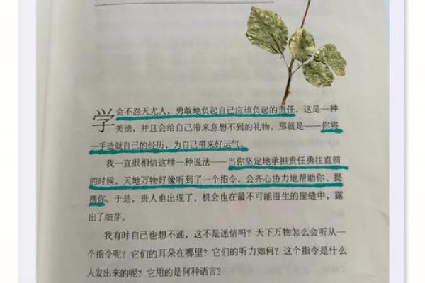 命与运：如何用智慧掌控人生的方向