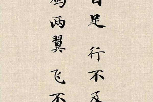 命与运：如何用智慧掌控人生的方向