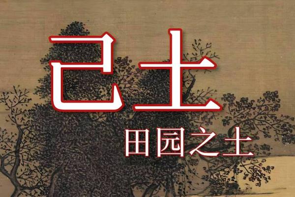 土命与哪个命人最容易相处？解密和谐的命理关系！