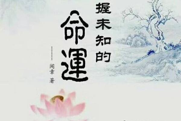 1996年鼠年：掀起命运的新篇章与命格解析