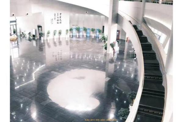19885年：科技与人文交织的未来之旅