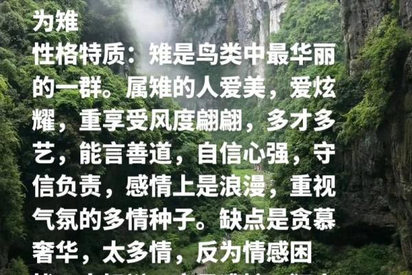 2005年的属相揭秘：鸡年的命运与性格分析