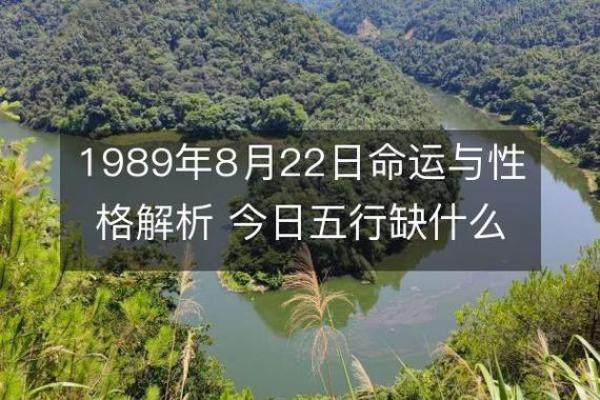 1971年4月出生的人生命运解析与性格特征