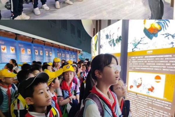 探秘生命之旅：不同年龄段的智慧与领悟