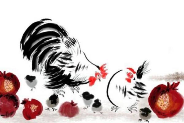 属鸡人士30岁命运解析：智慧与挑战并存的转折点