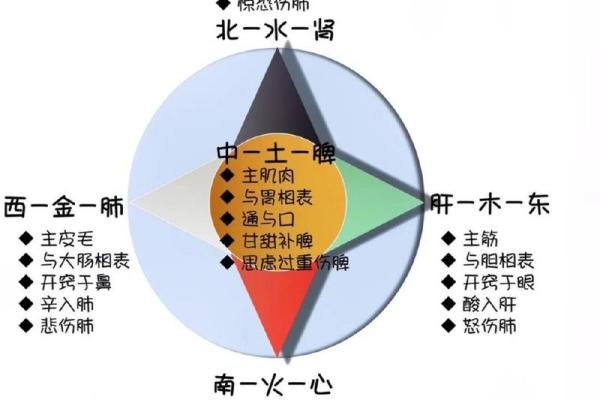 1956年命五行解析：探寻命理背后的智慧与奥秘