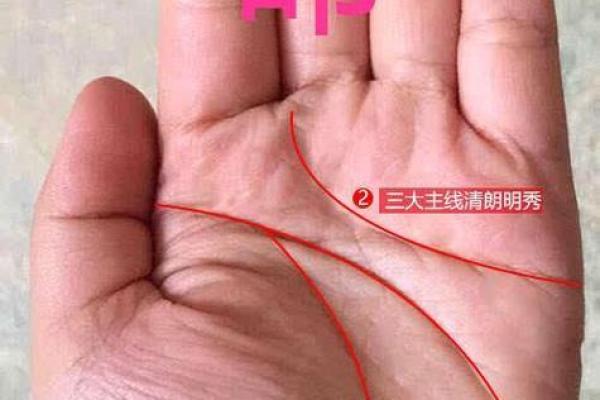19900610出生的人命运解析：揭开命理的神秘面纱