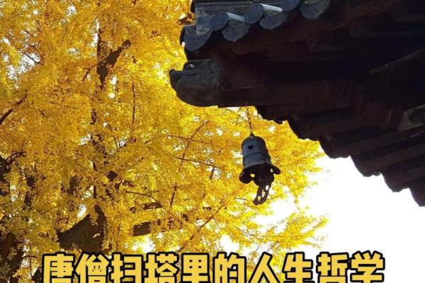 天河水命：揭示命理中的属相之奥秘与人生智慧