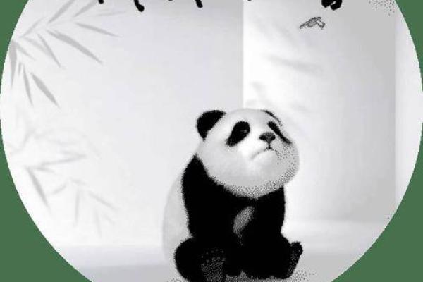 探索乾命女与兑命的深层意义：生命的融合与平衡之道
