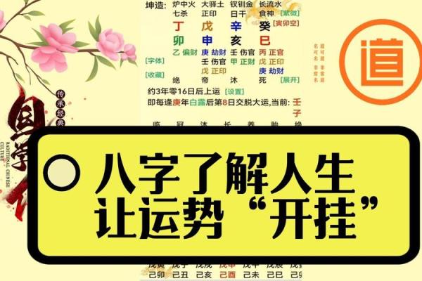 如何根据出生月份解析命运运势，揭示人生密码！