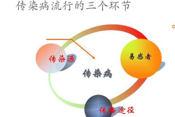 火命人的健康大计：解析易得疾病及预防对策