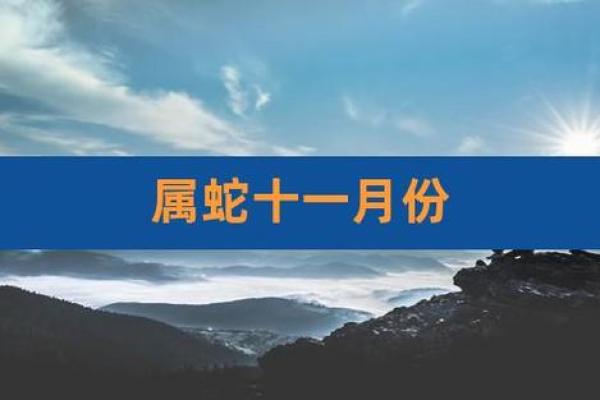 2022年属蛇人的命运与运势探讨：八字分析与生活建议