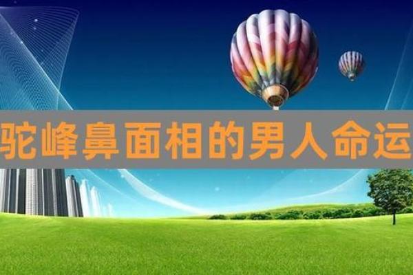 从体型看命运：揭示福气男人的秘密