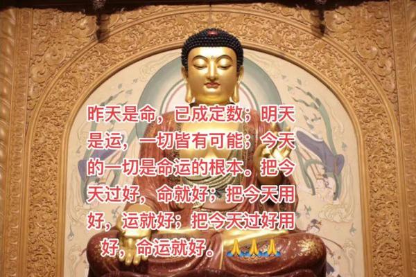 神子两命满命：探寻命运中的神秘力量与人生哲学