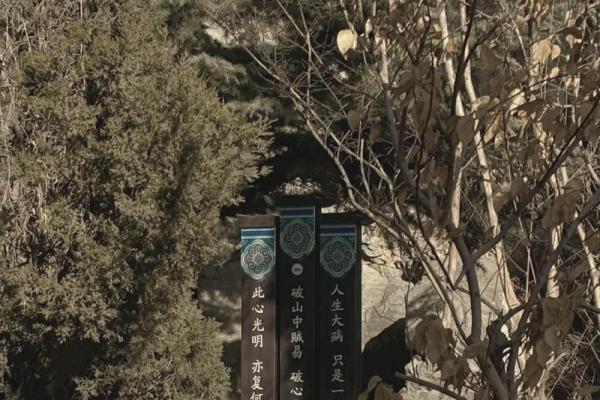 探寻1987年4月：命理中的神秘之旅与人生启示