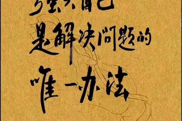 手机的命也是命：现代生活中的幽默与无奈