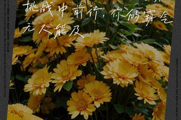 不好的命局组合：解析哪些命格预示逆境与挑战