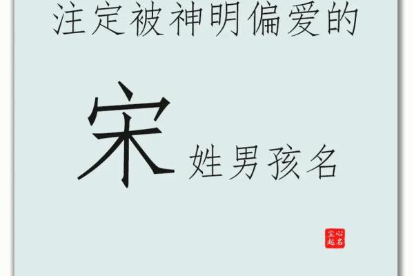 兔年男孩命运与性格解析：潜力无穷的生命之旅