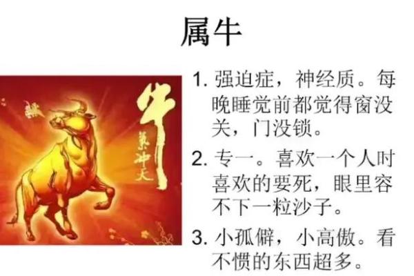 2009年属牛，回顾牛年命运，解读生肖牛的性格与发展方向