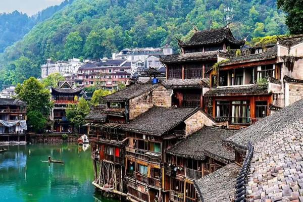 木命在三月：春天的木之魅力与生命启示